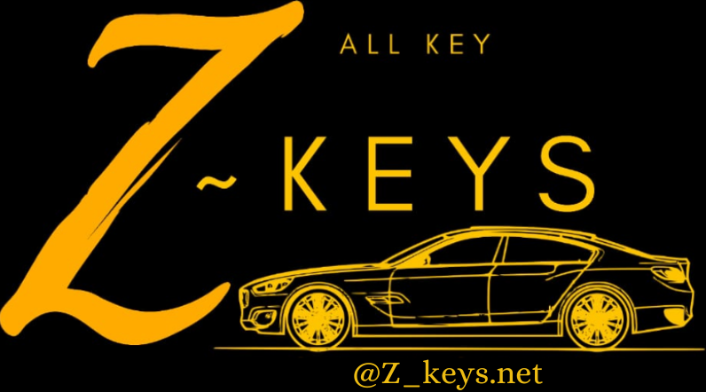 Z-Keys Immobilizer